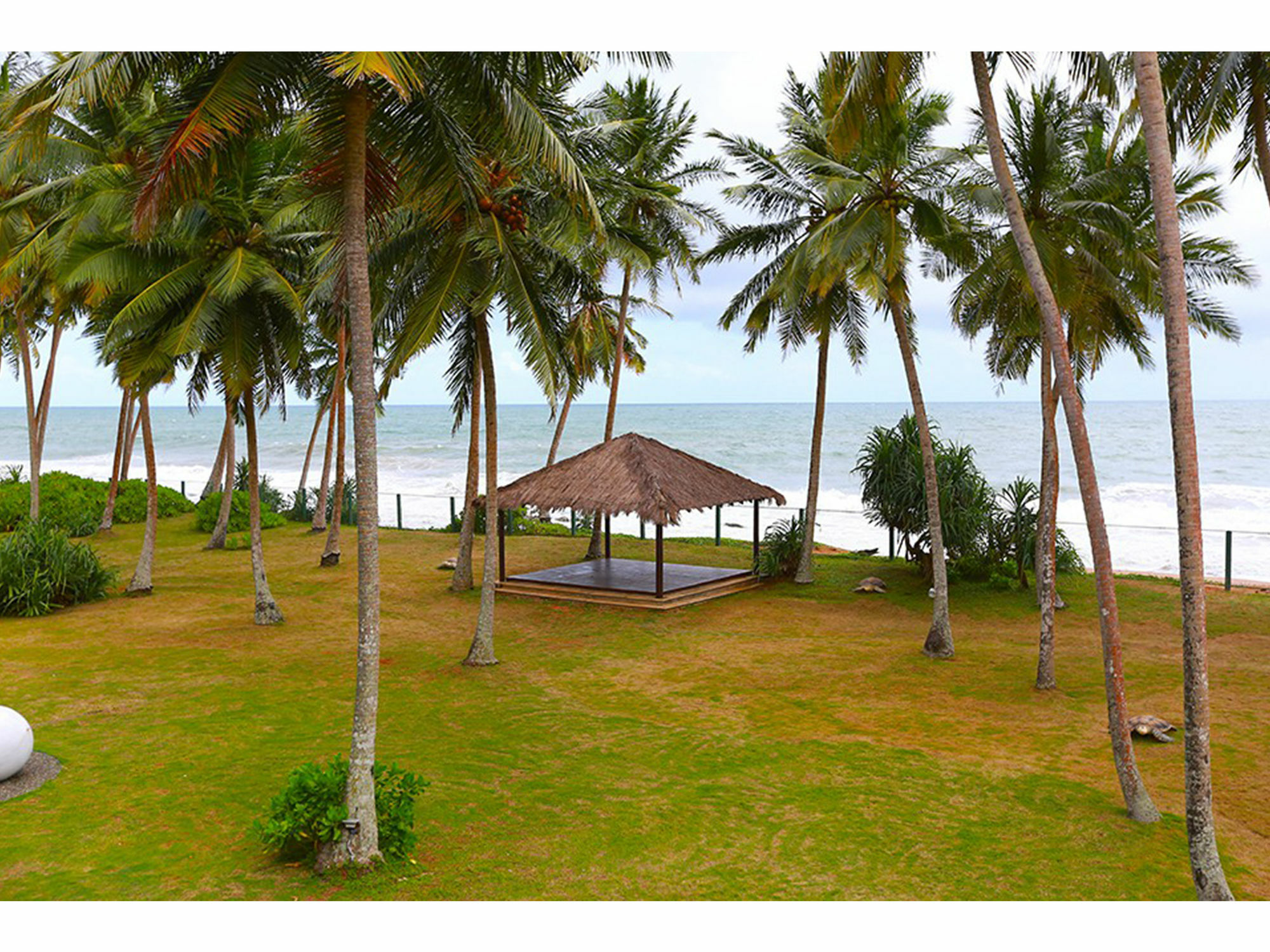 Green Turtle Villa By The Serendipity Collection Bentota Eksteriør billede